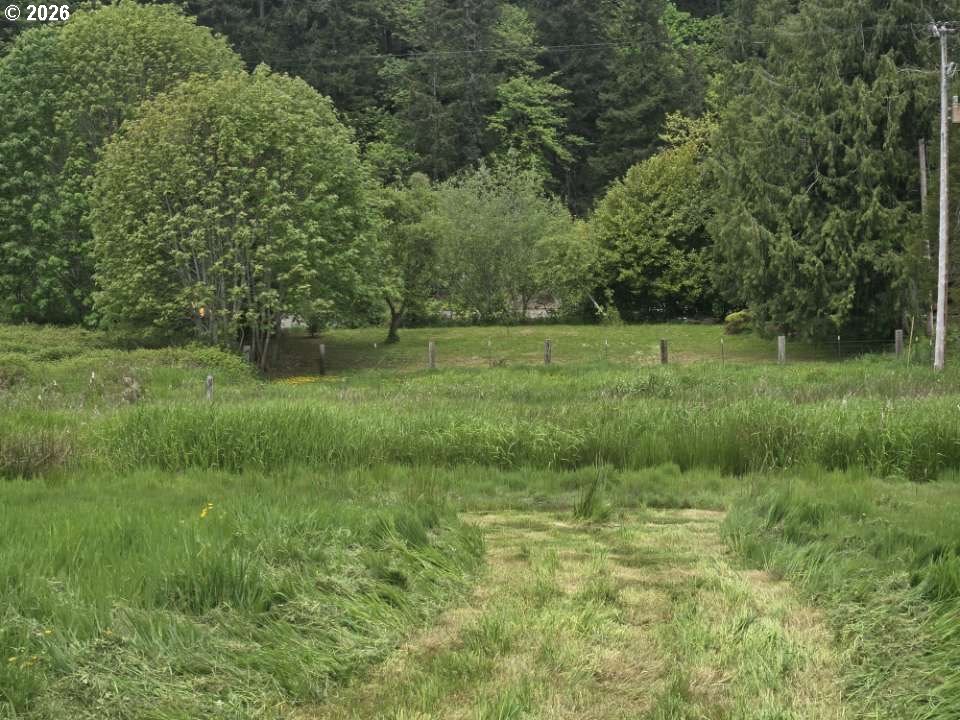 10195 Sweet Creek Road Mapleton, OR 97453 - Photo 8 of 9