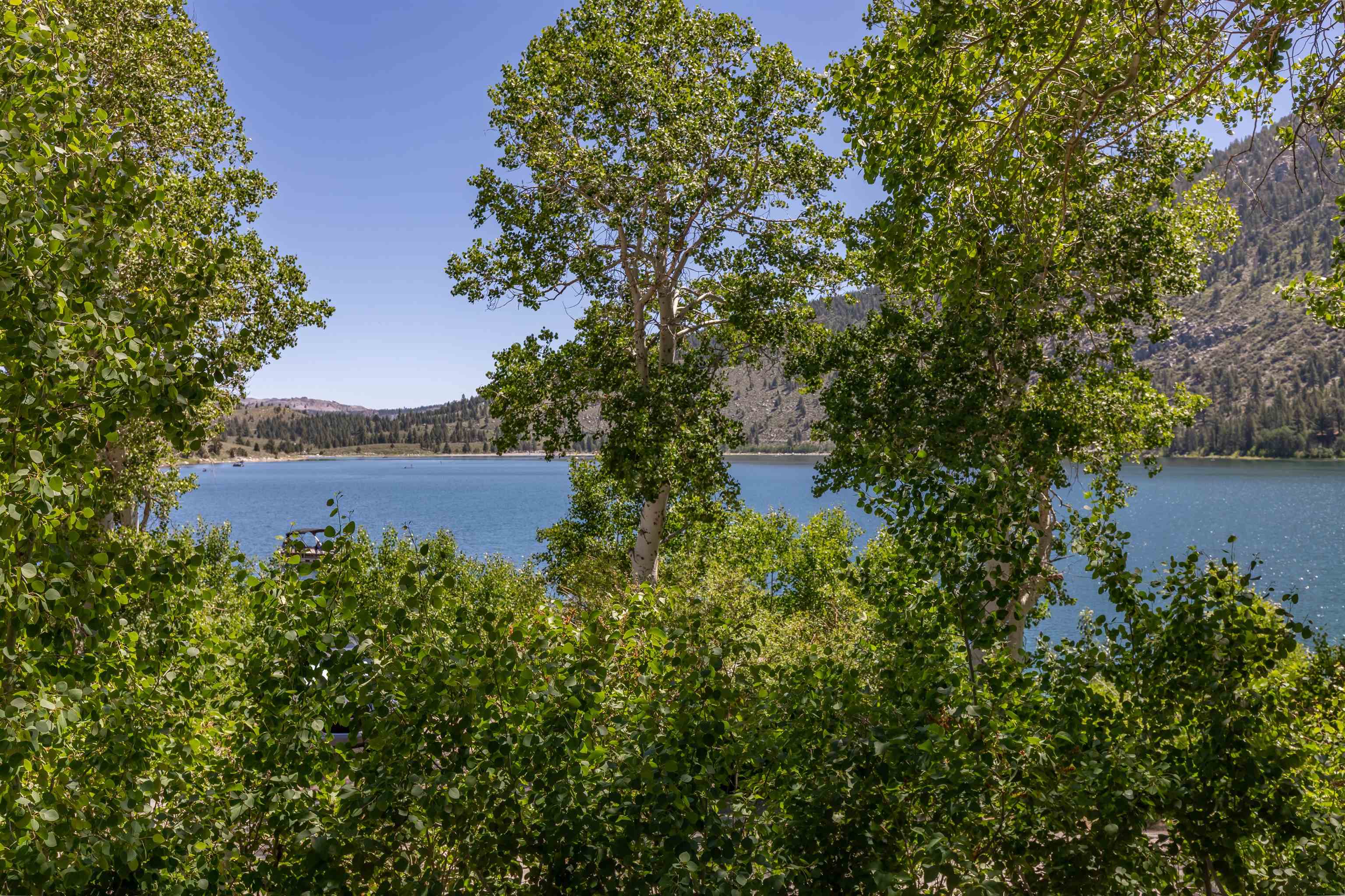 379 Forest Road June Lake, CA 93529 - Photo 29 of 34 Gallery Image 29