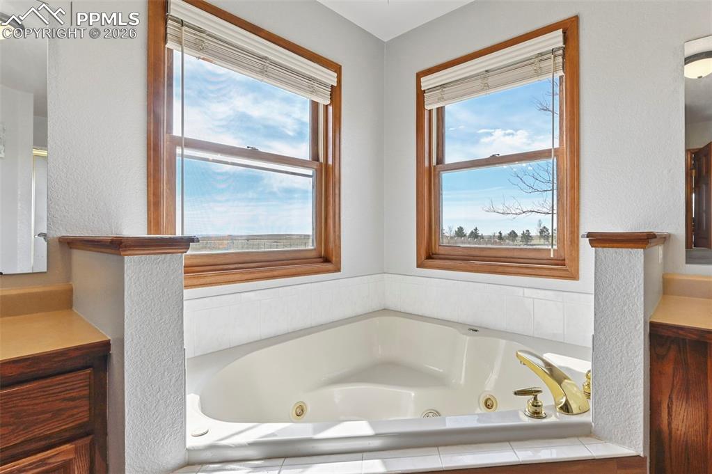 14775 Judge Orr Road Peyton, CO 80831 - Photo 19 of 49 Jetted Soaking Tub