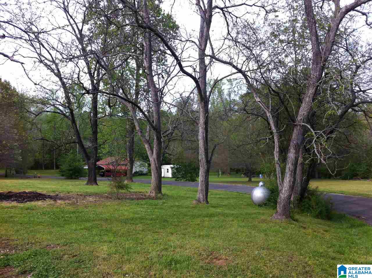 9221 Bill Jones Road Kimberly, AL 35091 - Photo 9 of 10