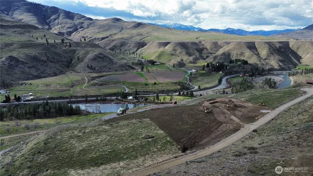 a view of a backyard with plants