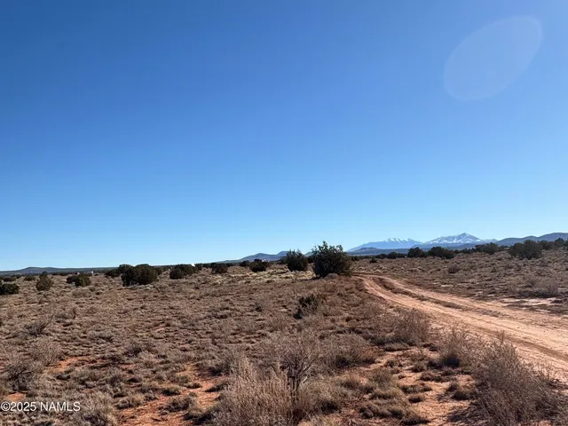 a view of a dry field