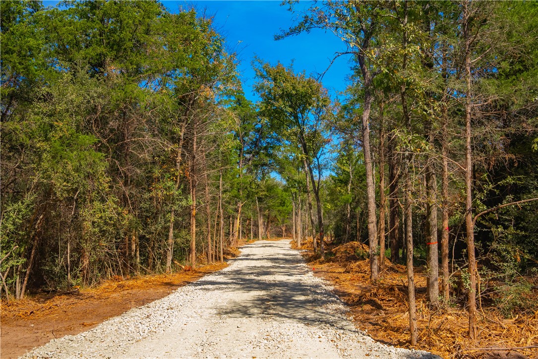 12524 Red Hill Road Hearne, TX 77859 - Photo 4 of 7