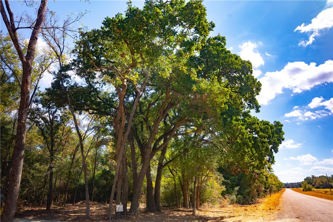 12524 Red Hill Road Hearne, TX 77859 - Photo 5 of 7