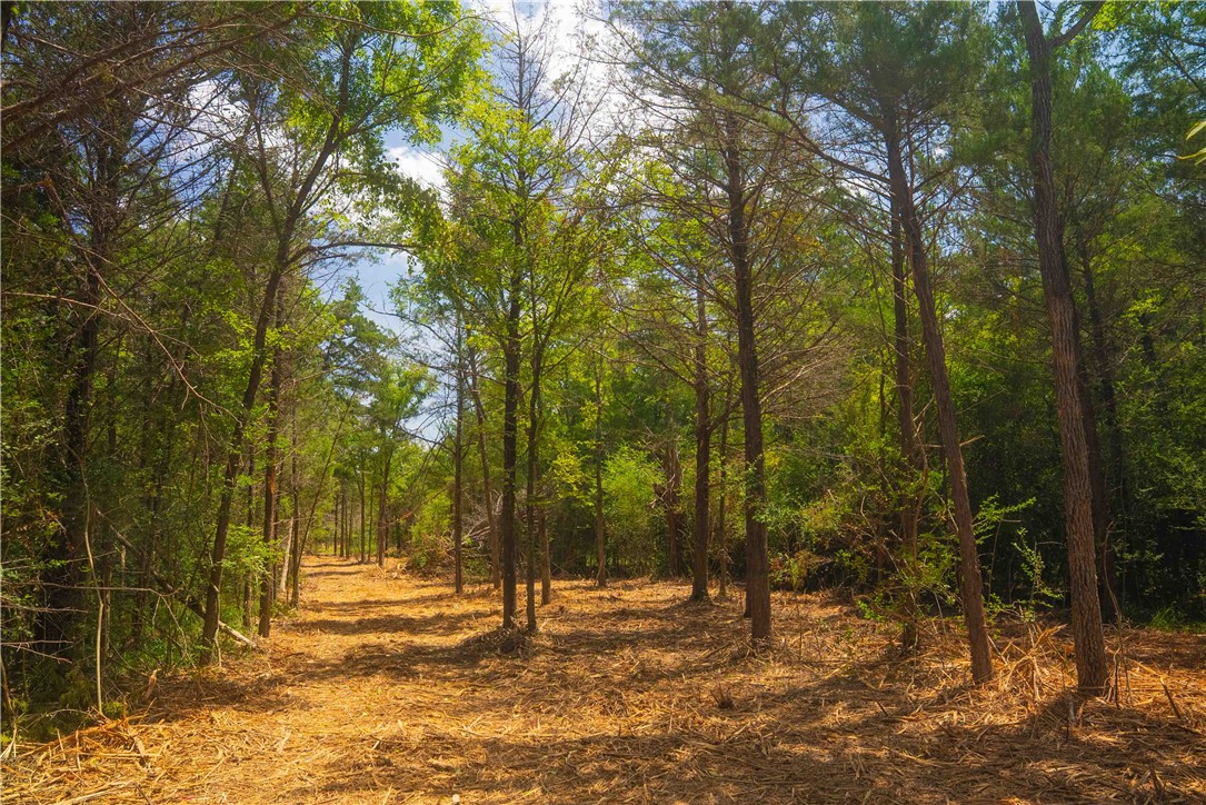 12524 Red Hill Road Hearne, TX 77859 - Photo 6 of 7