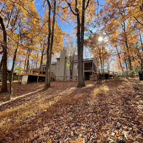 a view of a yard with trees