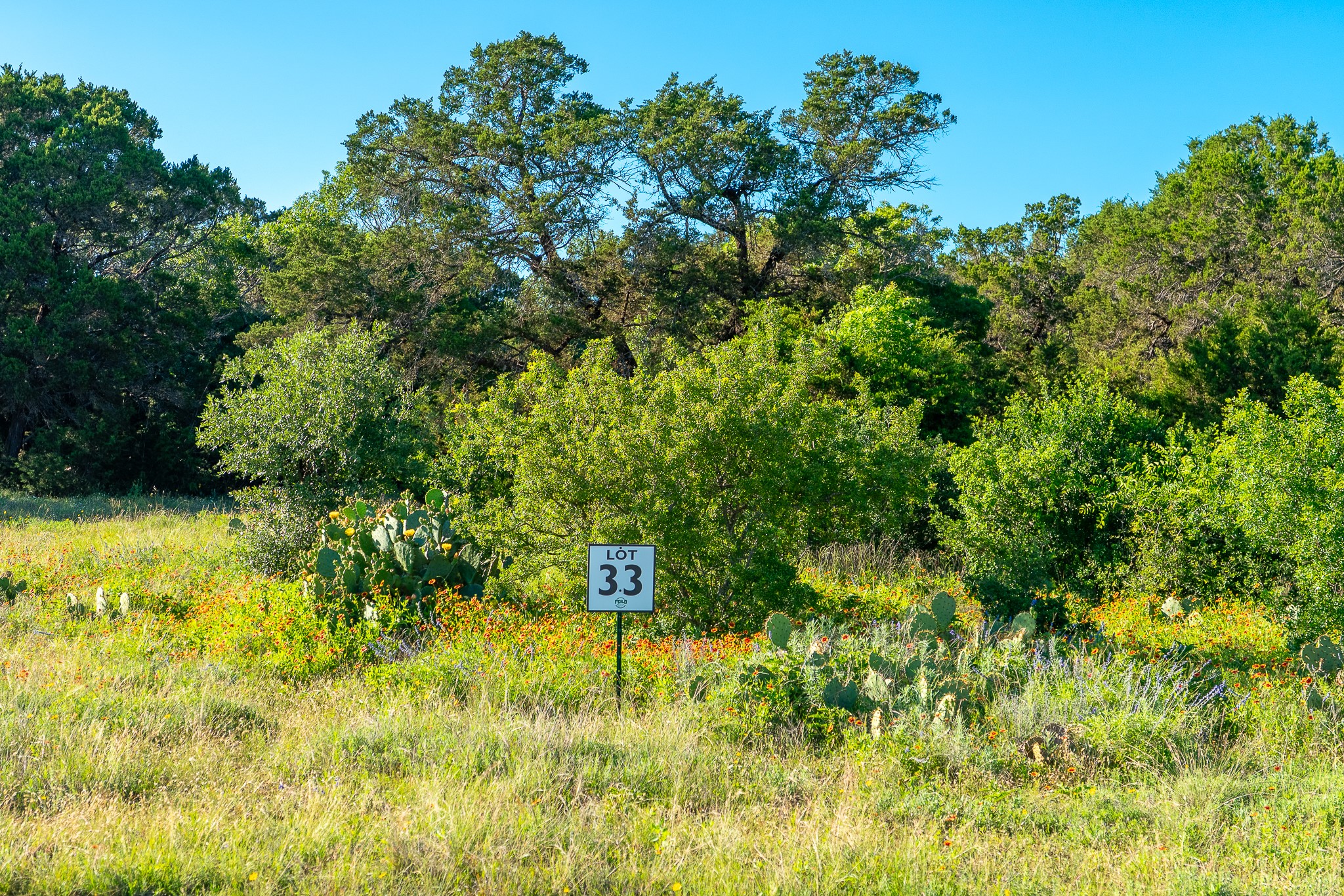 33 Feild Ranch Road Lampasas, TX 76550 - Photo 39 of 40 A verdant, undeveloped land parcel offers a blank canvas for your dream estate, nestled amongst native trees and blossoming flora.