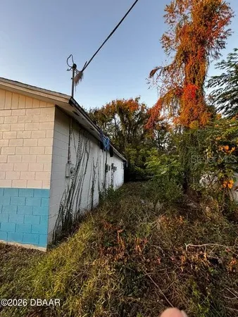 a view of a backyard