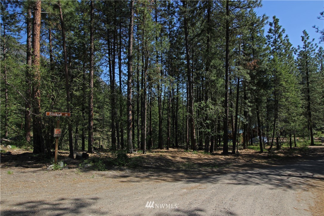 3 Bitterbrush Road Winthrop, WA 98862 - Photo 8 of 8