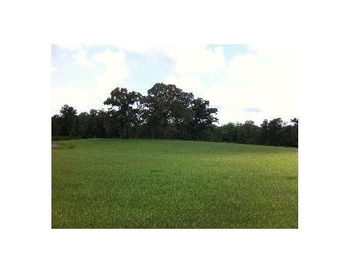 0 Neal Road Loranger, LA 70446 - Photo 1 of 6