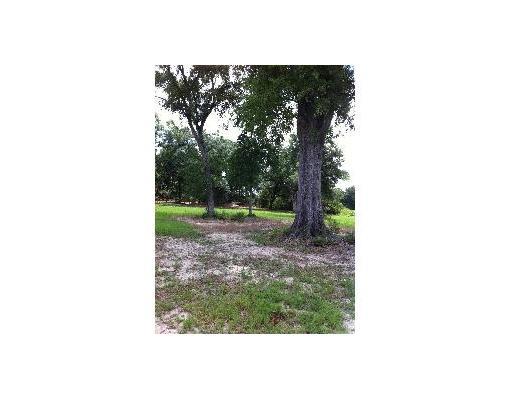 0 Neal Road Loranger, LA 70446 - Photo 2 of 6