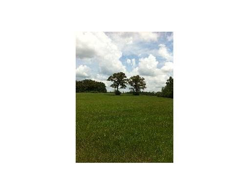 0 Neal Road Loranger, LA 70446 - Photo 4 of 6