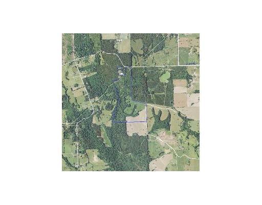 0 Neal Road Loranger, LA 70446 - Photo 5 of 6