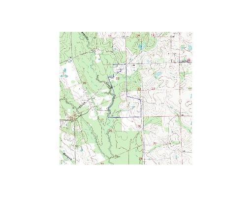 0 Neal Road Loranger, LA 70446 - Photo 6 of 6