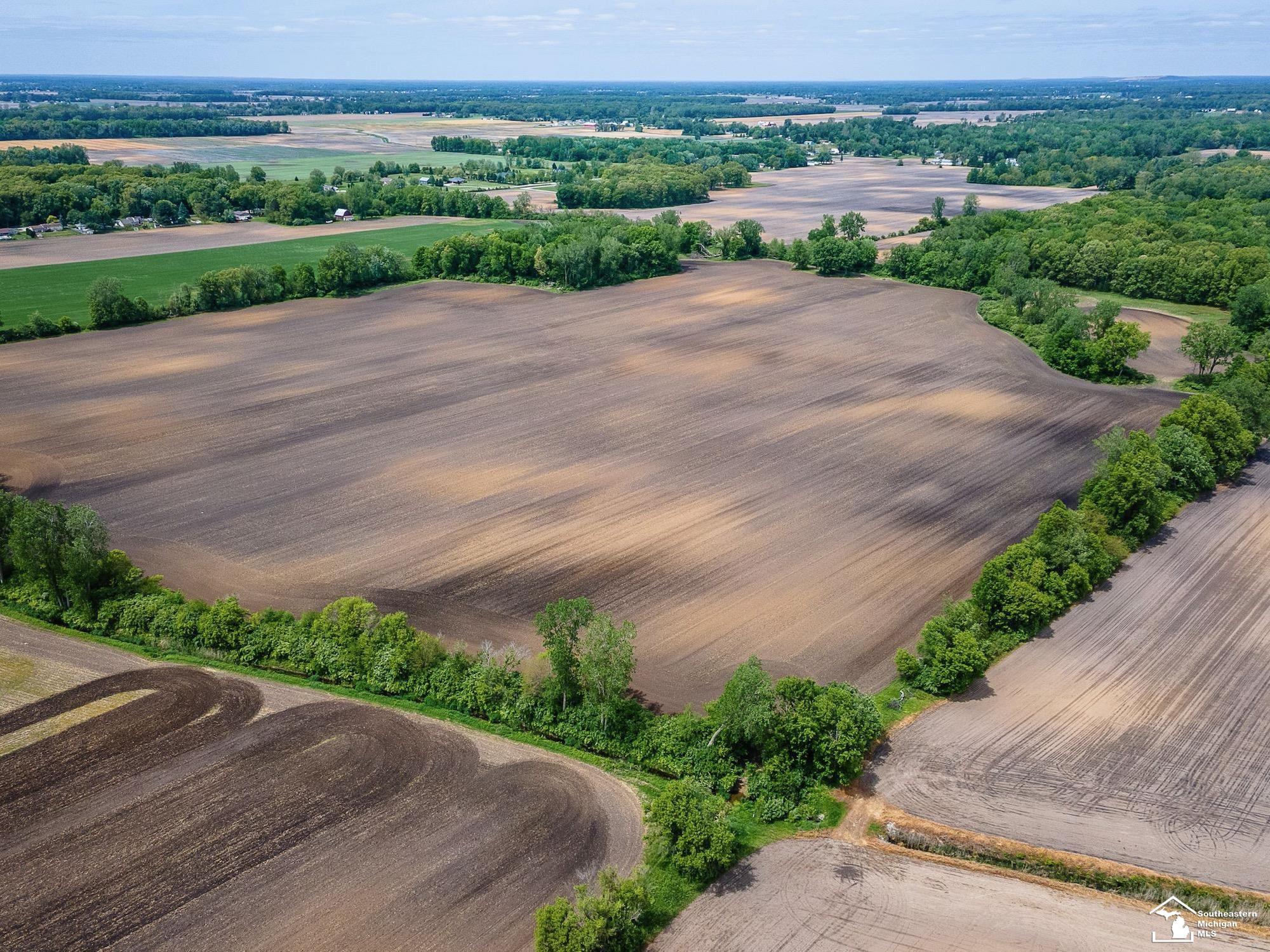 3754 Stewart Road Monroe, MI 48162 - Photo 13 of 36 50213412-d4546385-0b82-41fe-83a3-4bb5c4a71d40.JPG