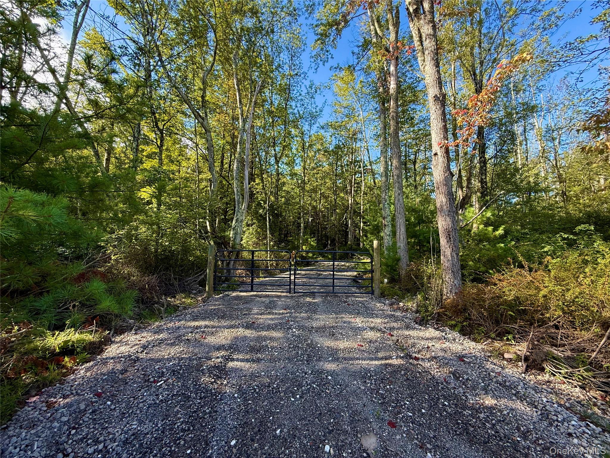 Mt Prosper Road Wurtsboro, NY 12790 - Photo 2 of 6 a view of outdoor space with trees