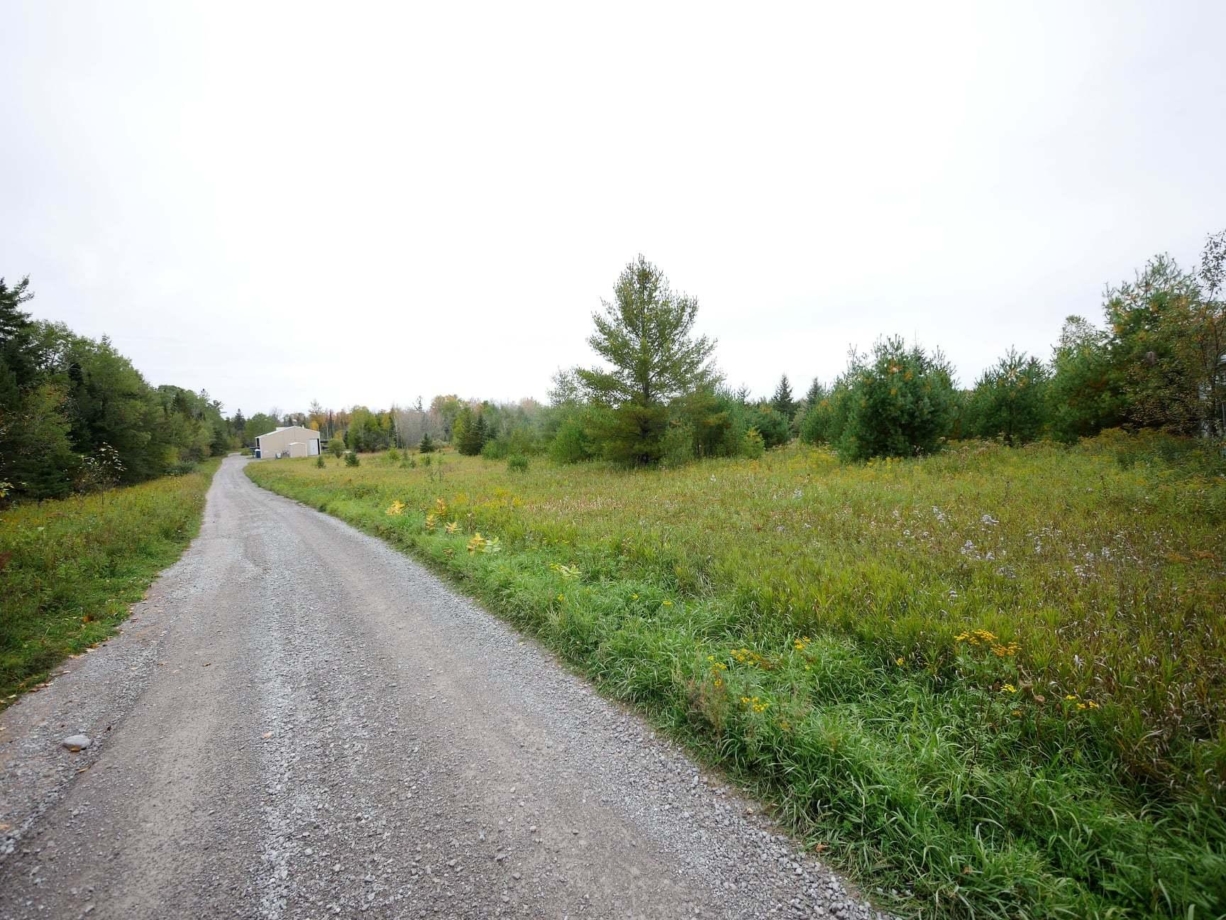Nhn Coombs Road Hillman, MI 49746 - Photo 9 of 16 Gallery Image 9