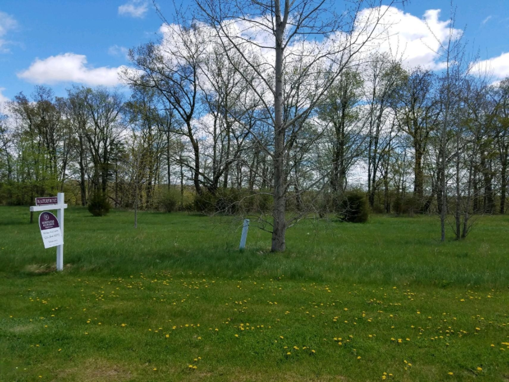 7082 Cedar Ridge Drive Portland, MI 48875 - Photo 3 of 3 lot 6 b