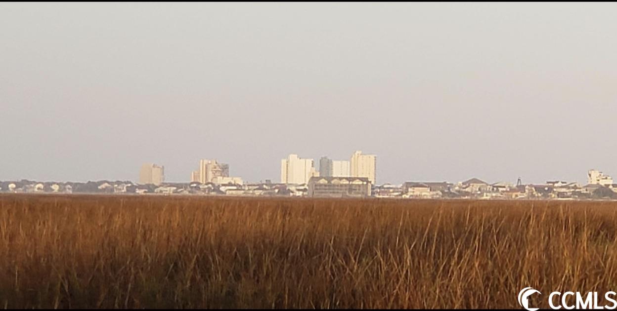 91 Sea Shell Drive, Unit 34 Murrells Inlet, SC 29576 - Photo 36 of 40