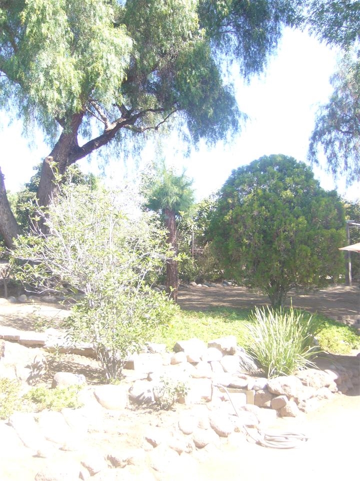 1402 East Mission Road Fallbrook, CA 92028 - Photo 9 of 15