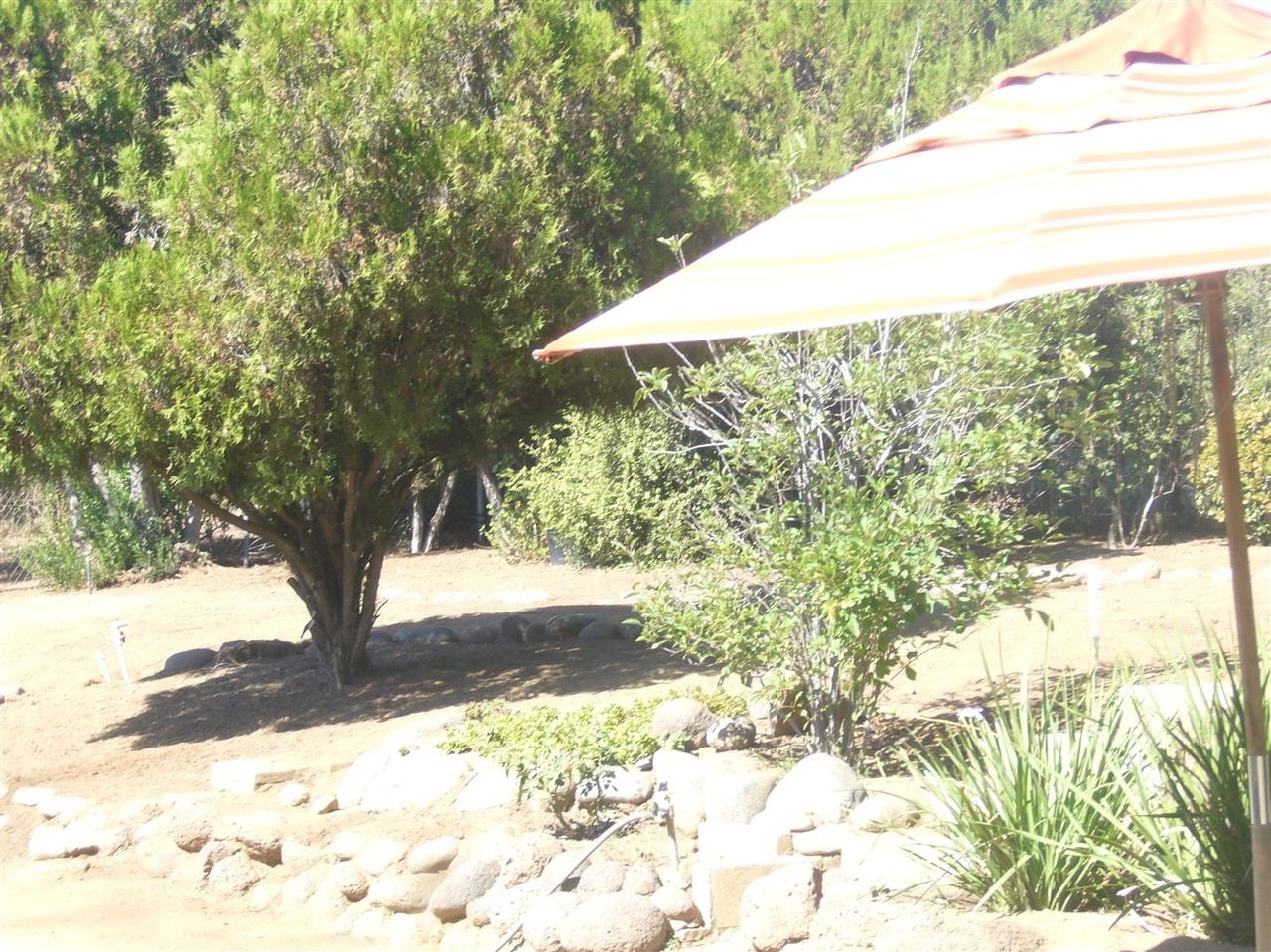 1402 East Mission Road Fallbrook, CA 92028 - Photo 10 of 15