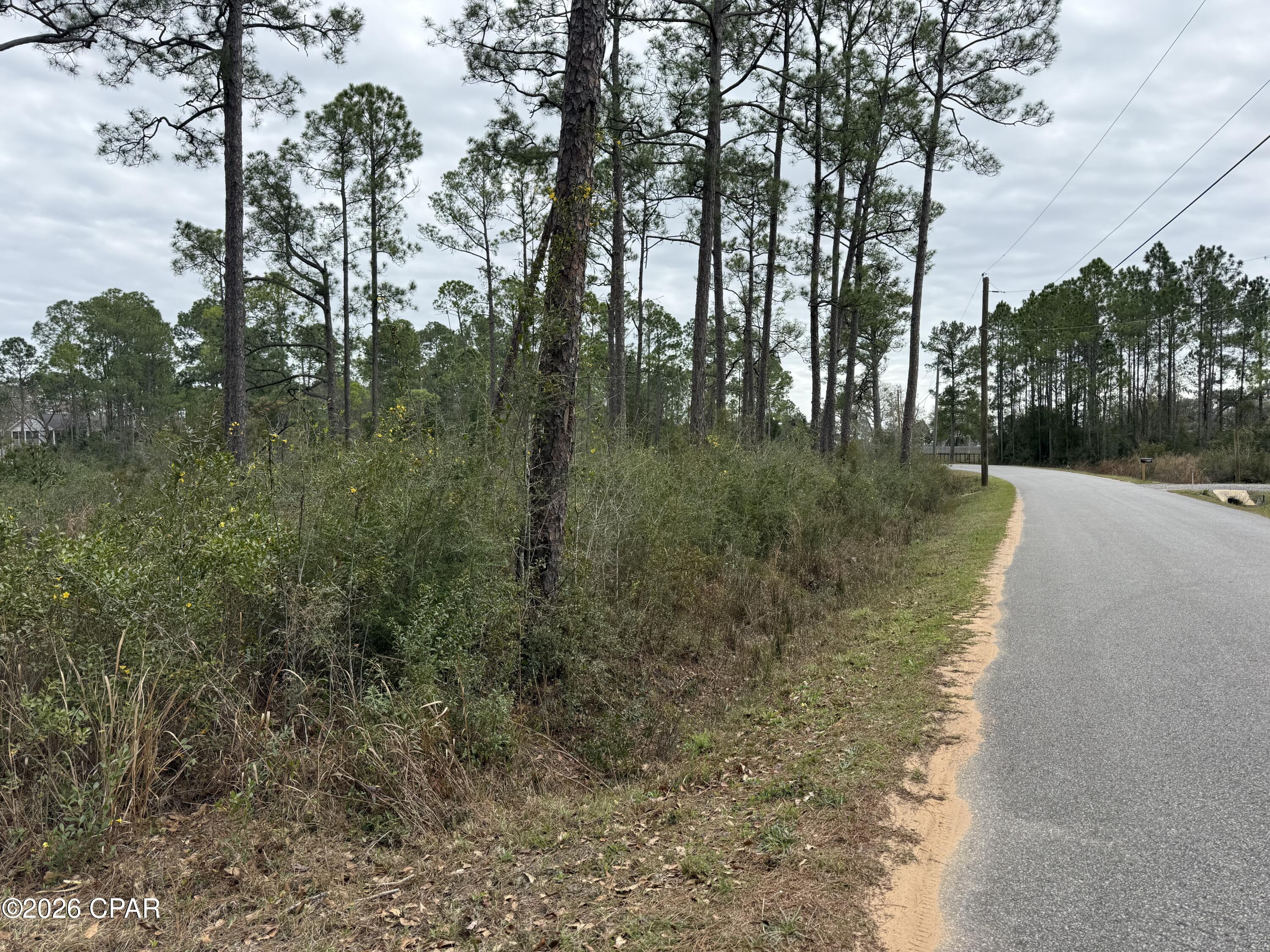 0 Petersen Point Road Milton, FL 32583 - Photo 8 of 10 Gallery Image 8