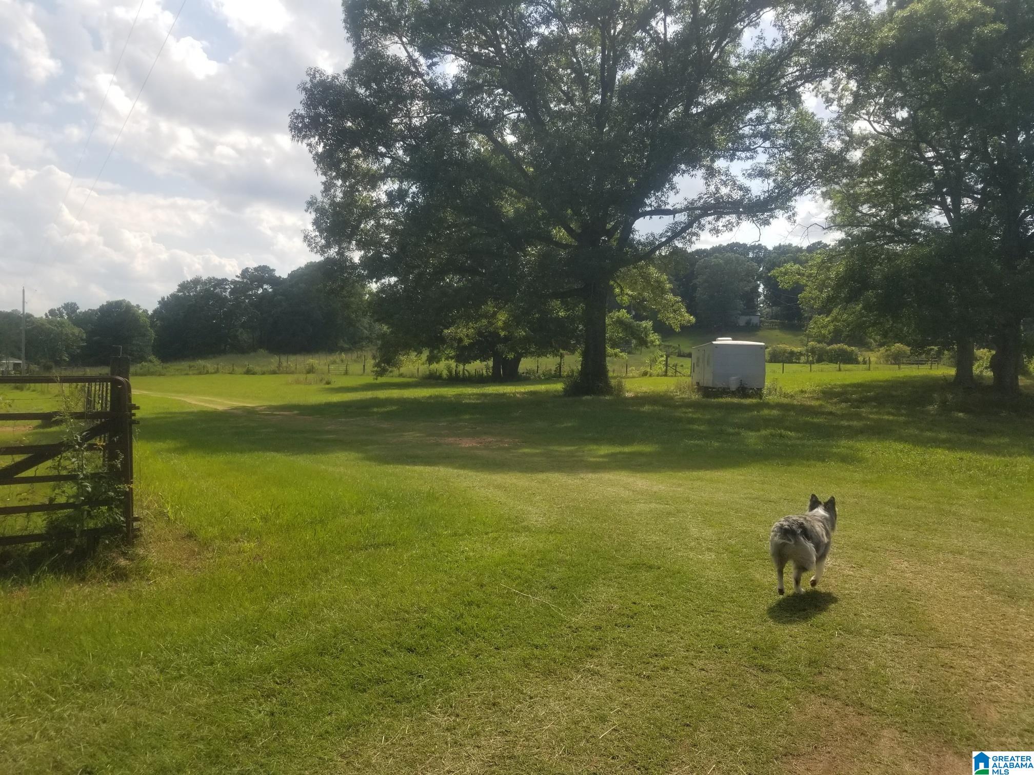 Hamby Road, Unit 1 Cropwell, AL 35054 - Photo 20 of 29