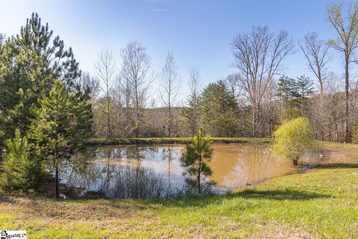 7143 Narrow Lane Road Hickory Grove, SC 29717 - Photo 30 of 35