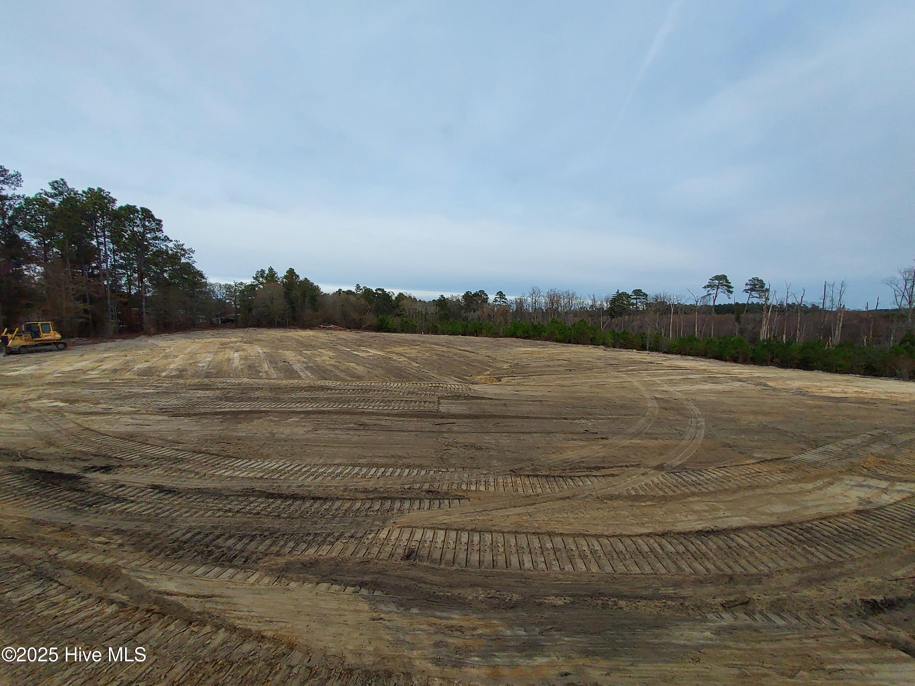 Tbd Palmer Road Marston, NC 28363 - Photo 4 of 10 1000017342