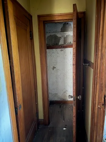 a view of a street with a tree