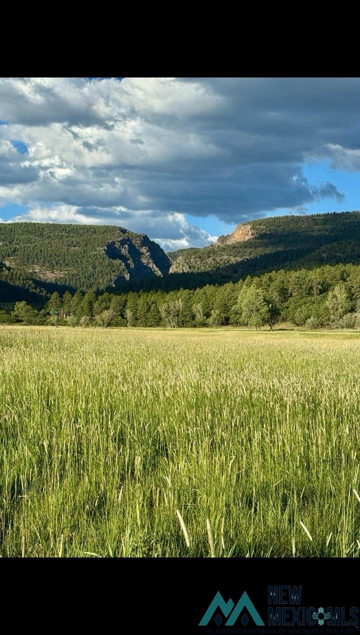 1788 Rd Chama Nm 87520 Road Chama, NM 87520 - Photo 11 of 13 Gallery Image 11
