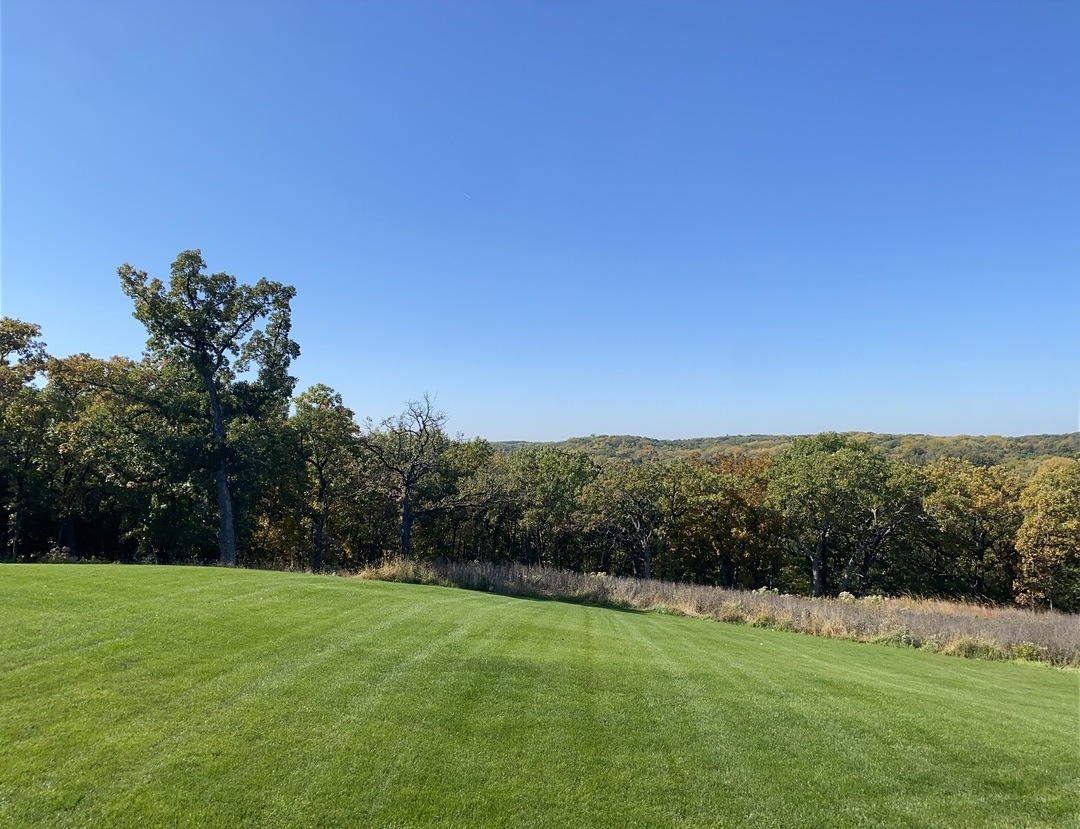 315 South Valley Hill Road Bull Valley, IL 60098 - Photo 74 of 86 a view of a grassy field with trees in the background