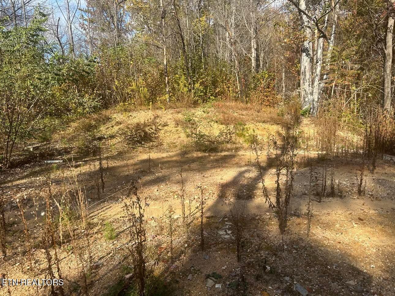 3361 Sugar Maple Loop Road Sevierville, TN 37862 - Photo 2 of 17 4b4d5ecc685b9804e035dc85b1338f3f