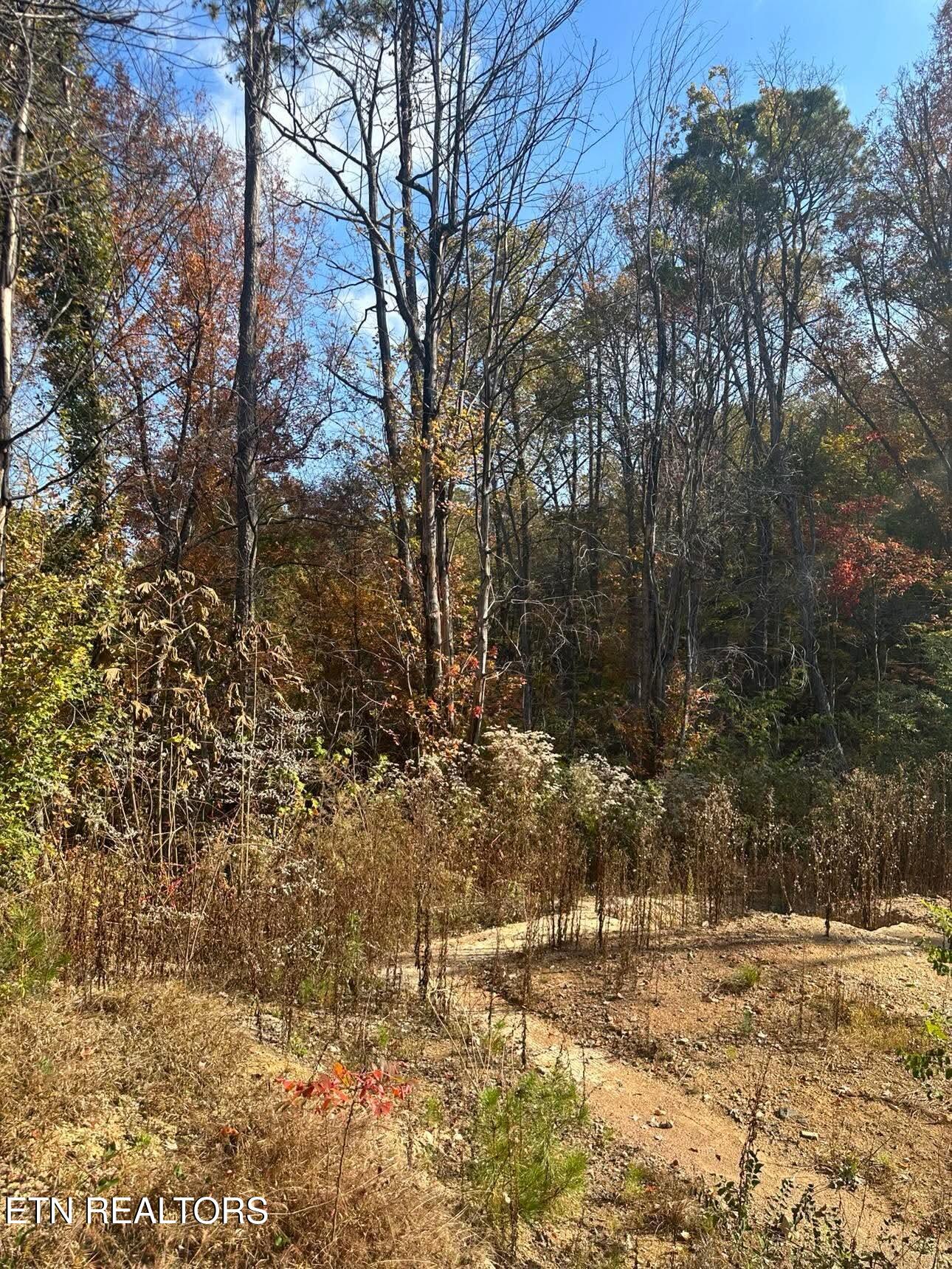 3361 Sugar Maple Loop Road Sevierville, TN 37862 - Photo 3 of 17 0985c44d494dda98dde58b446d8e9718