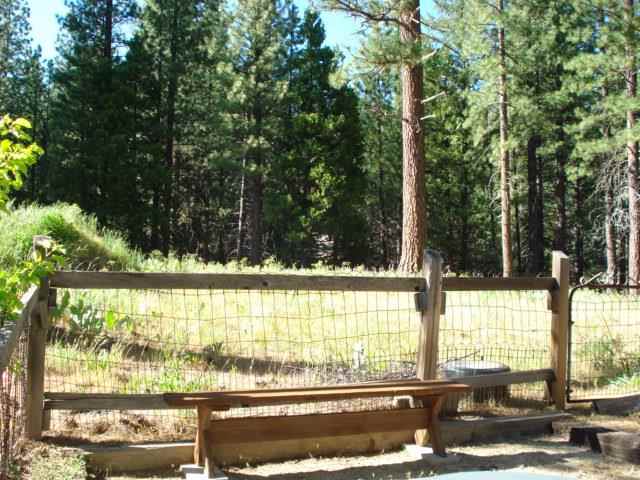 312 Coates Avenue Calpine, CA 96124 - Photo 12 of 14 Undeveloped Acreage At Rear