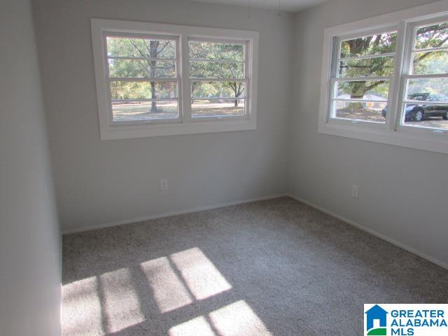 888 Peaceful Valley Road Eastaboga, AL 36260 - Photo 20 of 26
