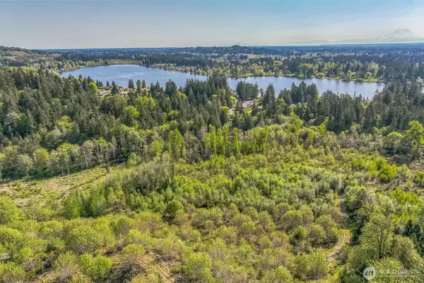 an aerial view of residential houses with outdoor space and trees
