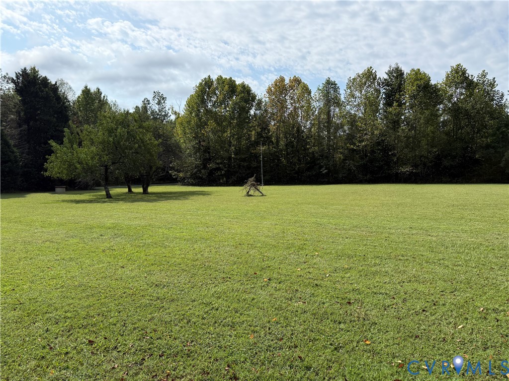 Expansive green lawn with mature trees and a woode