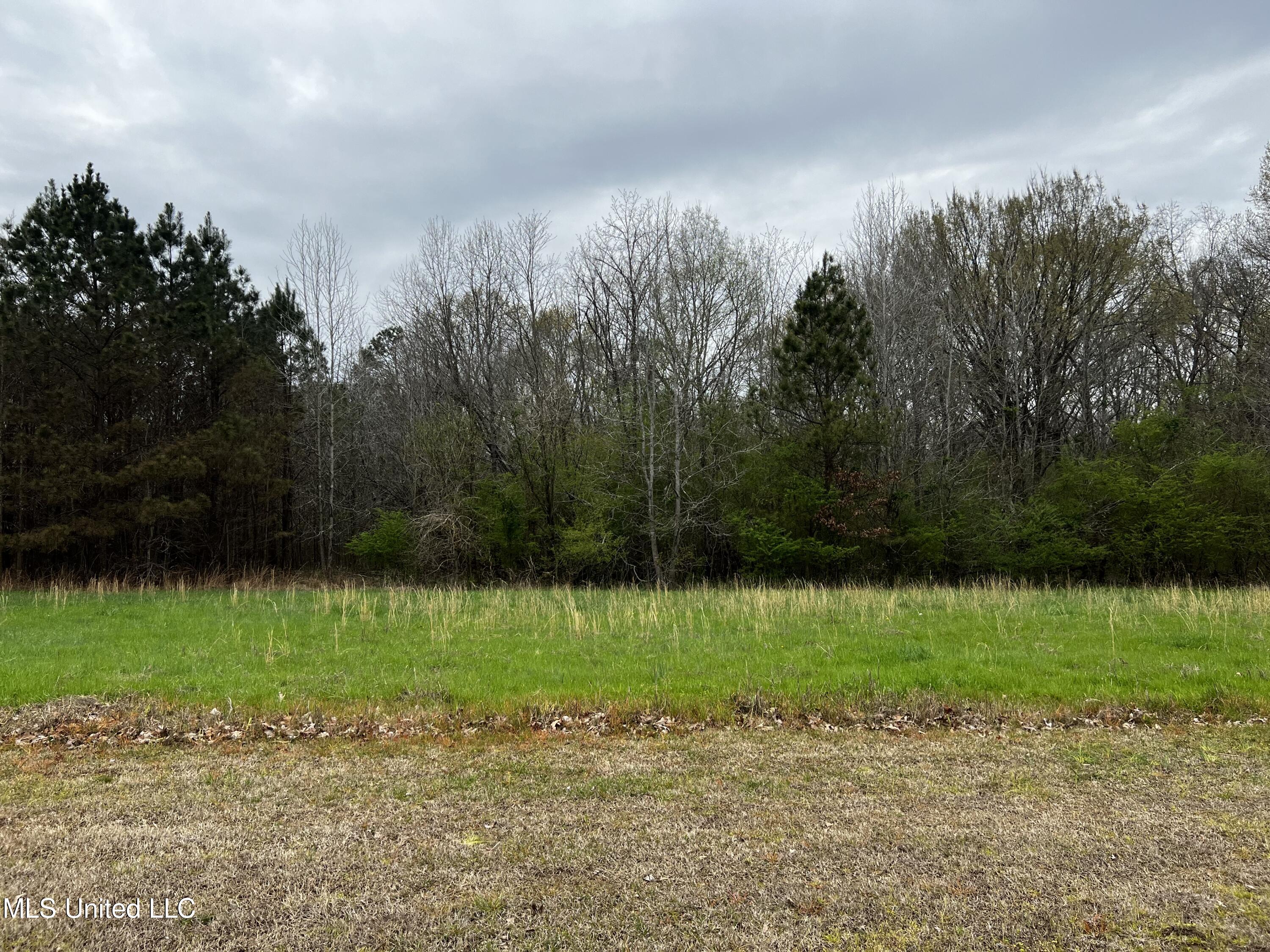 12.79-ac Country Club Road Senatobia, MS 38668 - Photo 1 of 4 IMG_1017