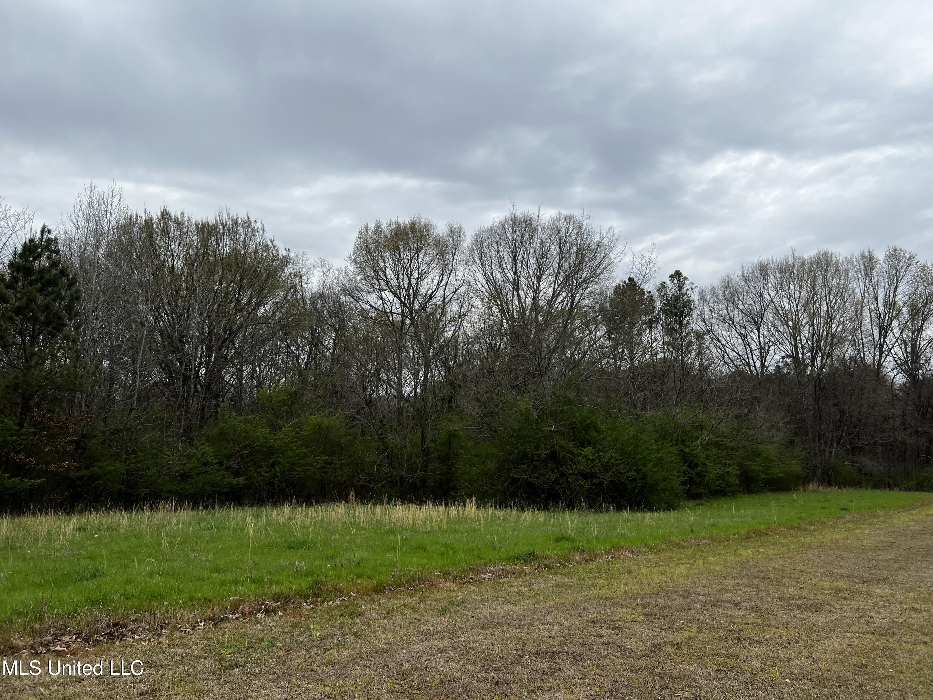 12.79-ac Country Club Road Senatobia, MS 38668 - Photo 2 of 4 IMG_1020