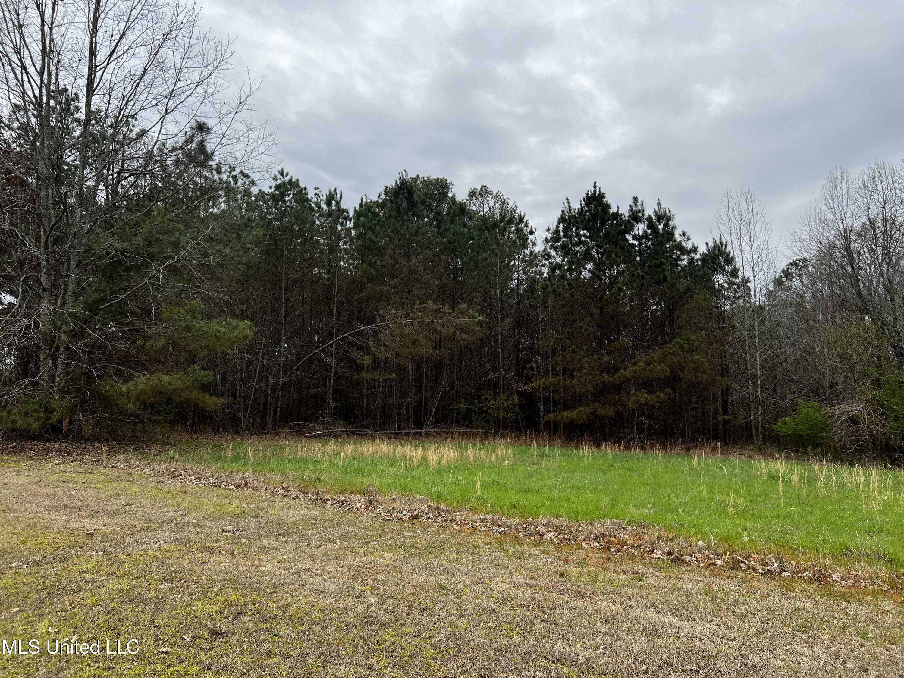 12.79-ac Country Club Road Senatobia, MS 38668 - Photo 3 of 4 IMG_1018