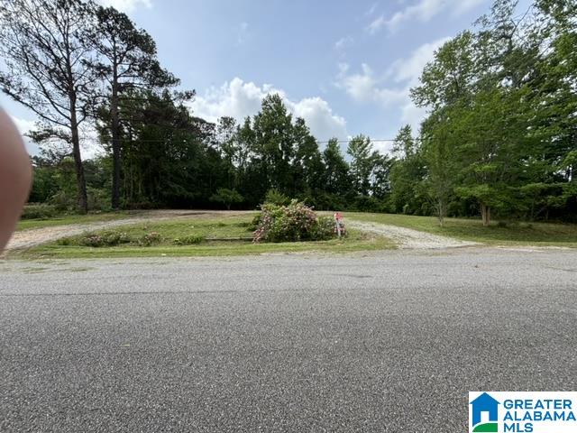 64 County Road 448 Clanton, AL 35046 - Photo 3 of 3