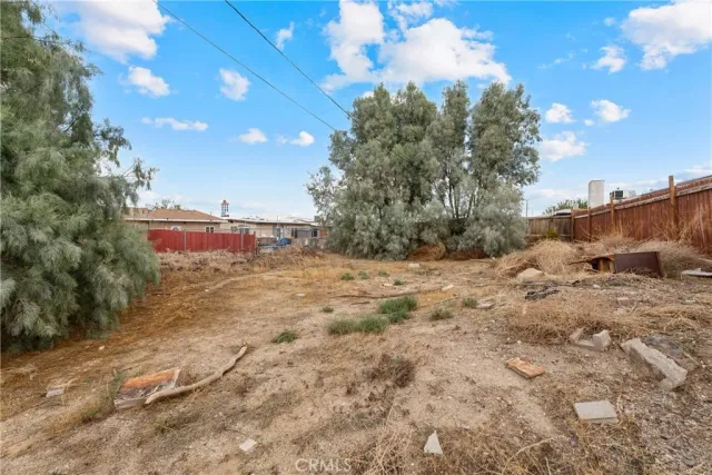 a view of a dry yard with trees