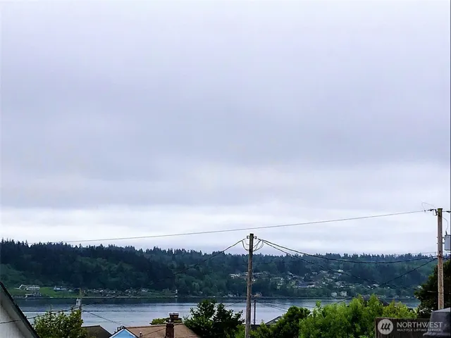 a view of a lake with a city in the background