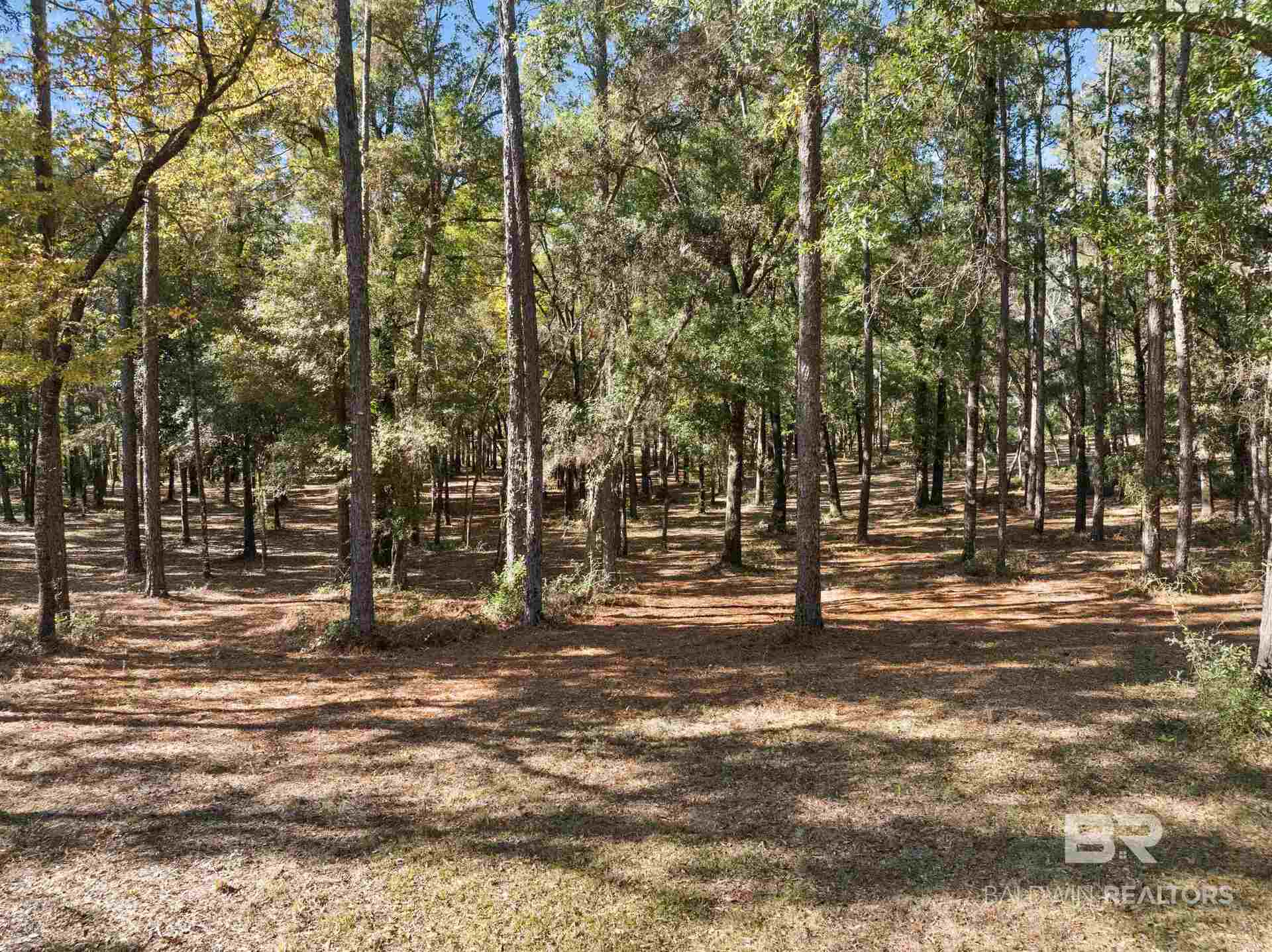 12800 Oak Tree Drive Foley, AL 36535 - Photo 70 of 73 Gallery Image 70