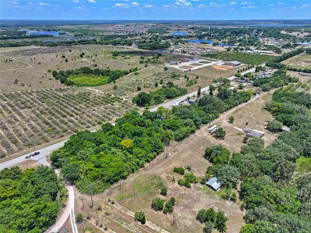 an aerial view of greenery