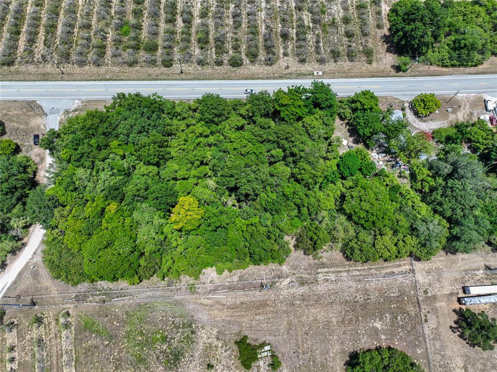 Sr-17 Dundee, FL 33838 - Photo 4 of 15 a view of a yard