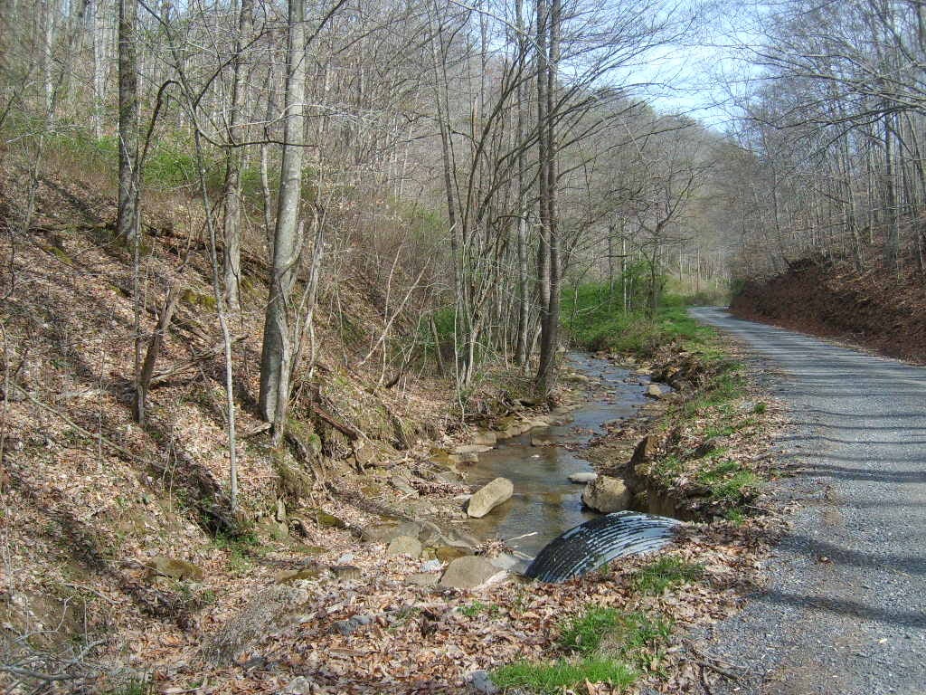 Buckeye Road Renick, WV 24966 - Photo 3 of 16 Gallery Image 3