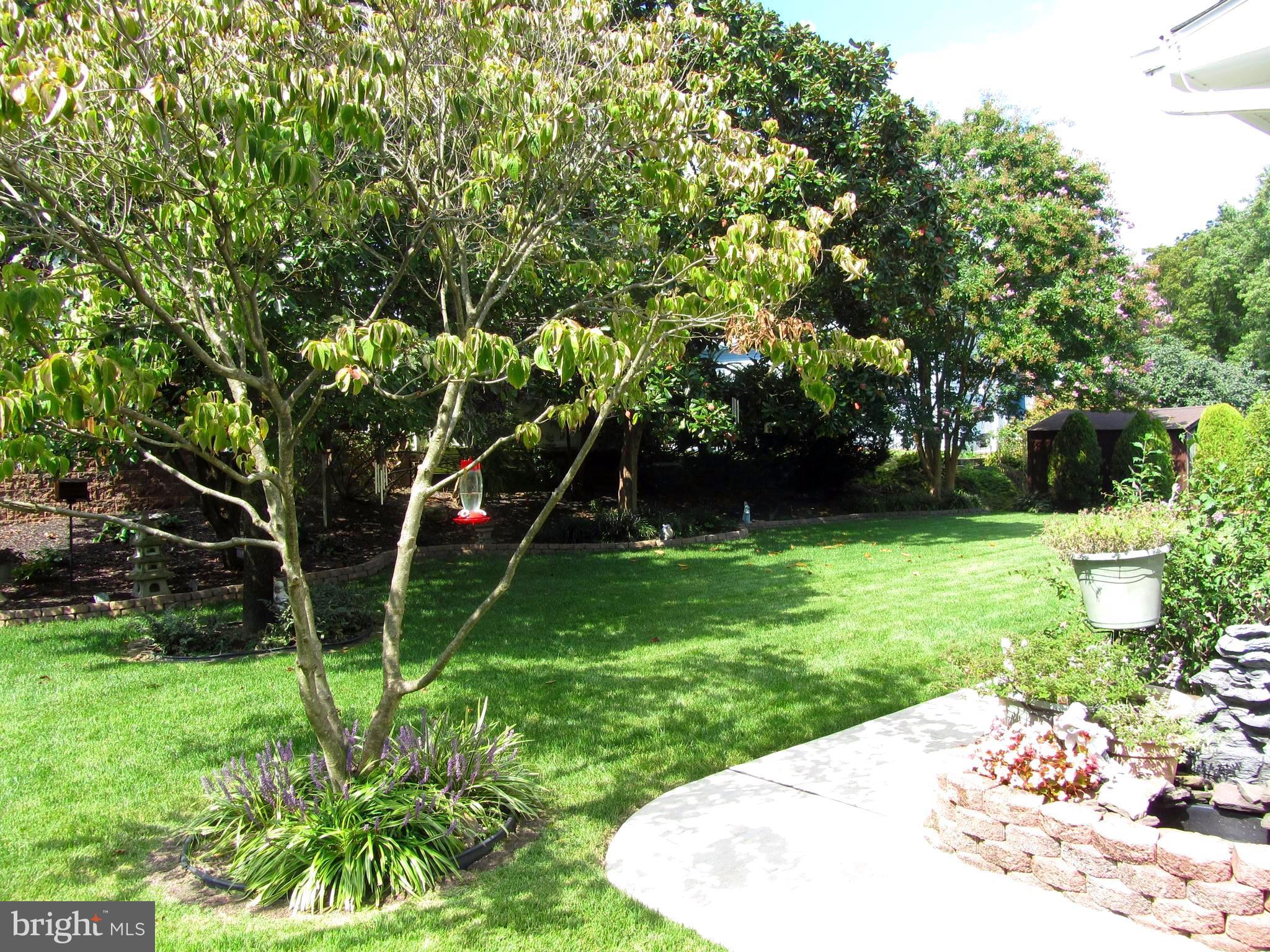 9130 Kilbride Road Baltimore, MD 21236 - Photo 19 of 29 Sidewalk from Sun Room to Back Yard