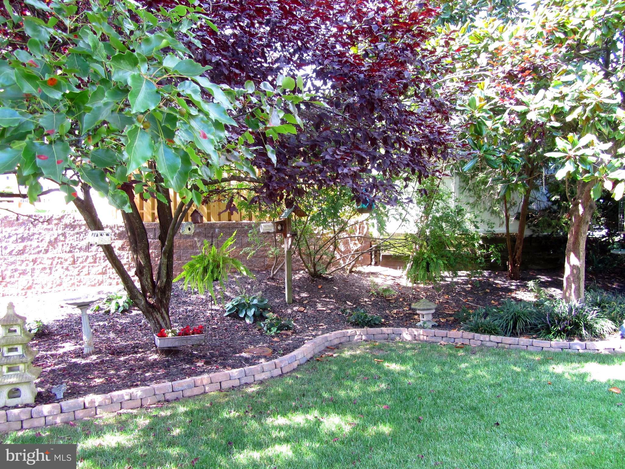 9130 Kilbride Road Baltimore, MD 21236 - Photo 20 of 29 Beautifully Landscaped Yard